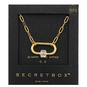 Oval w/CZ Baguette Tube Necklace